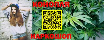 ALPHA PVP Обь