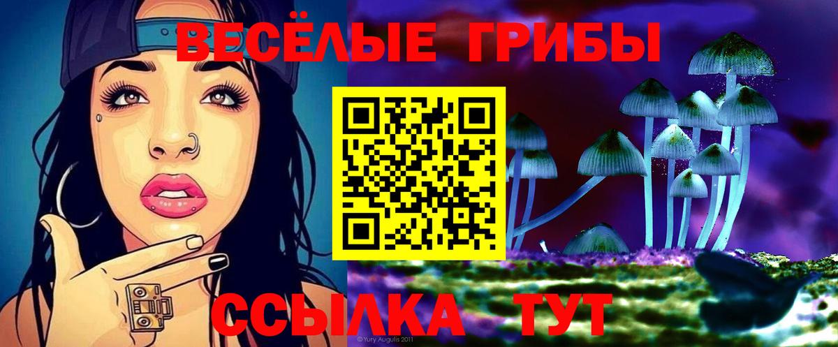 Галлюциногенные грибы мицелий Отрадный